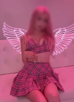  Рима, 20, 